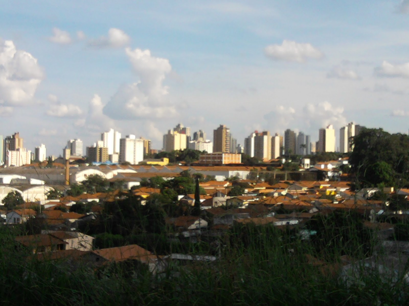OLHAR SOBRE LIMEIRA OLHAR SOBRE LIMEIRA