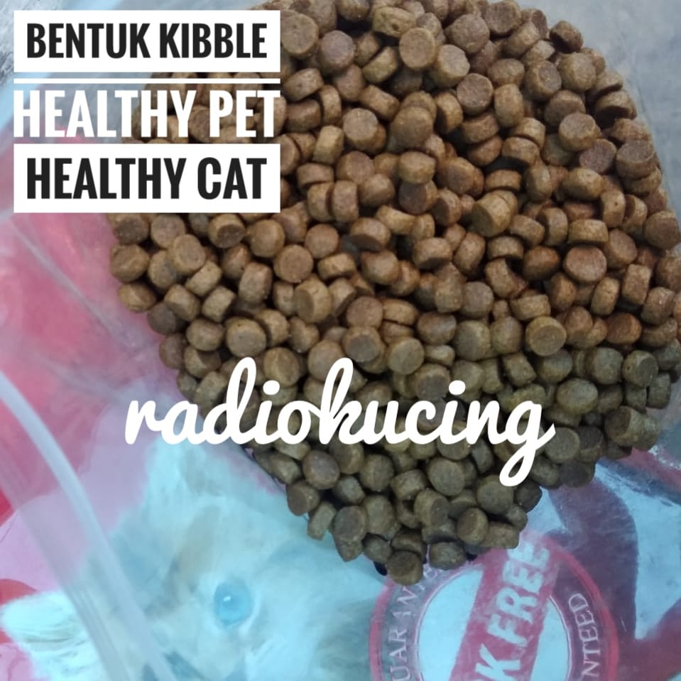 Review Makanan Kucing Healthy Pet Cat Super Premium Import Belgium