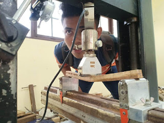 Kayu Sifat