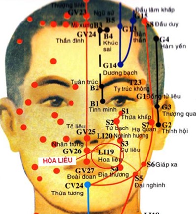 Vị trí huyệt hòa liêu