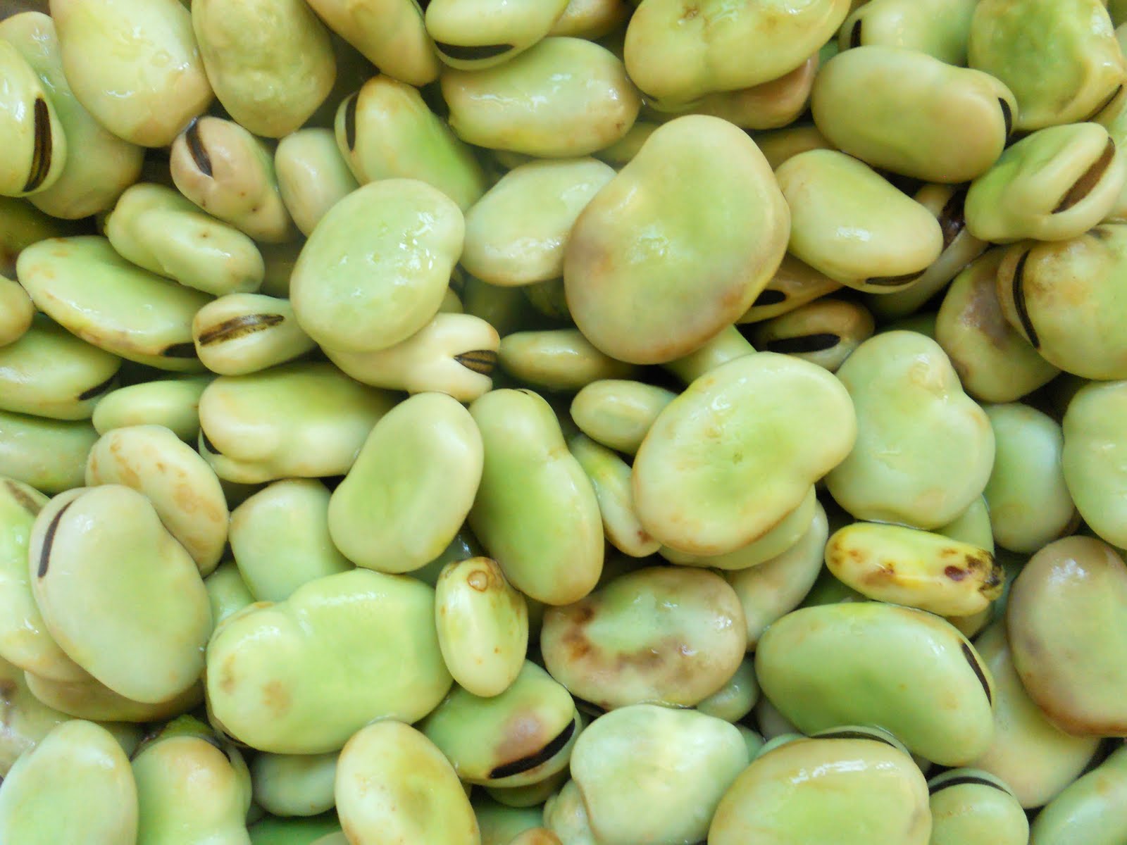 Broad Bean Hummus and Broad Bean Dip