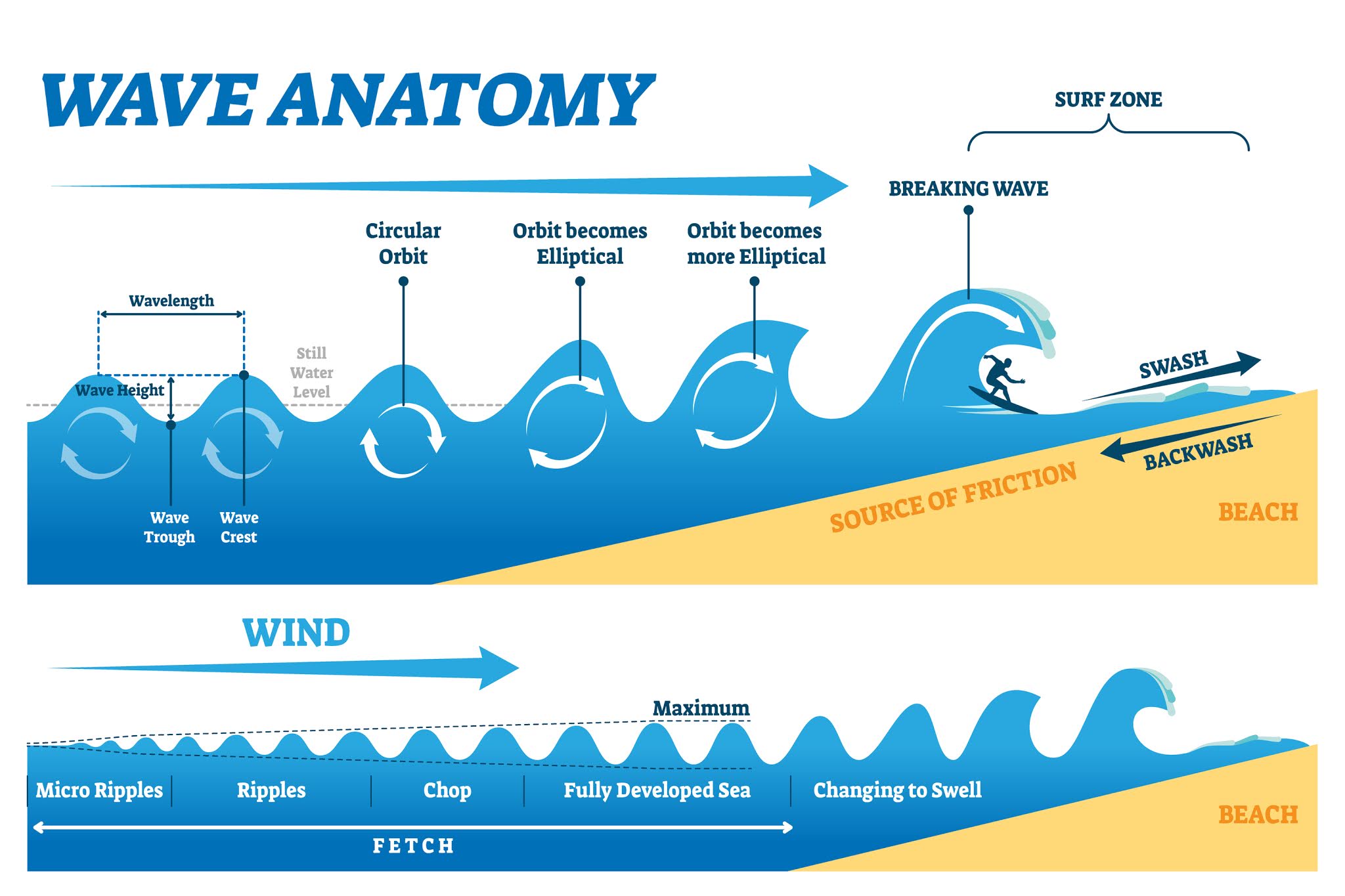 all waves travel up and down