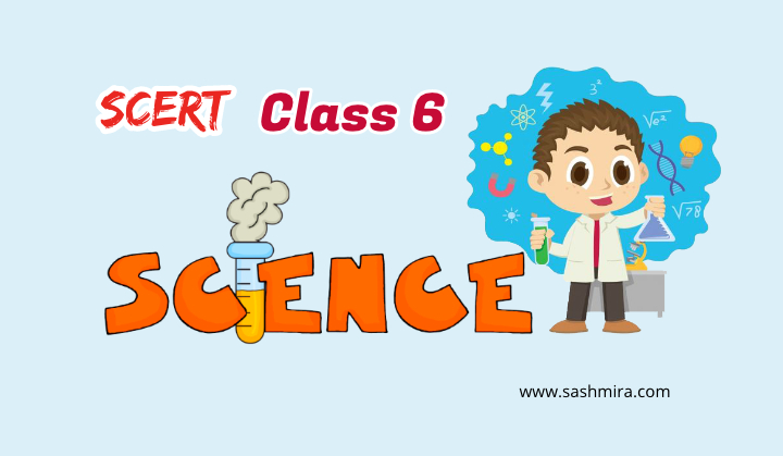 PSC SCERT Class 6th Science 