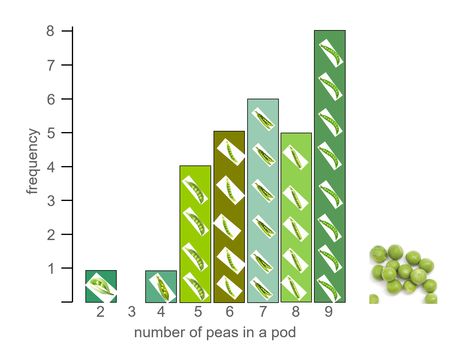 MEDIAN Don Steward mathematics teaching: peas in pods