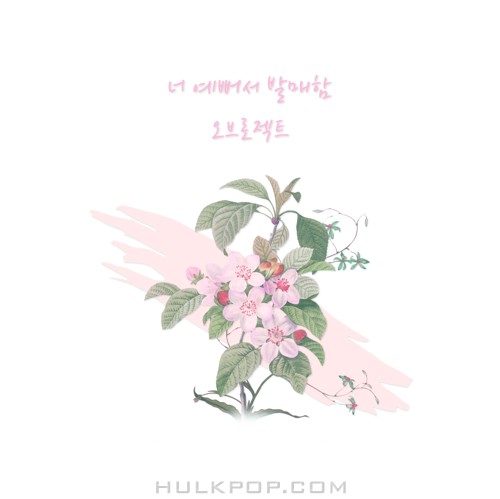 OBROJECT – 너 예뻐서 발매함 – Single