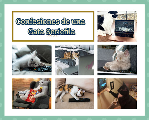 Confesiones de una Gata Seriéfila