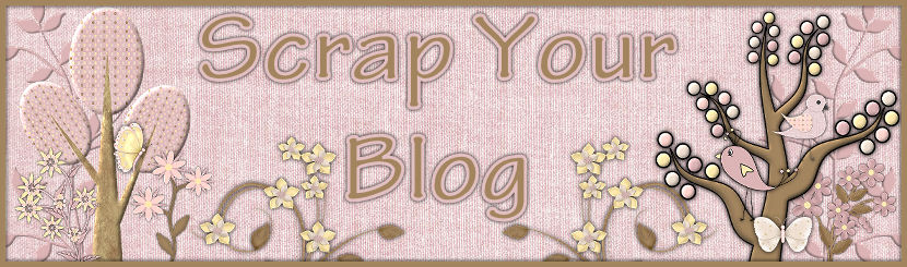 Scrap Your Blog