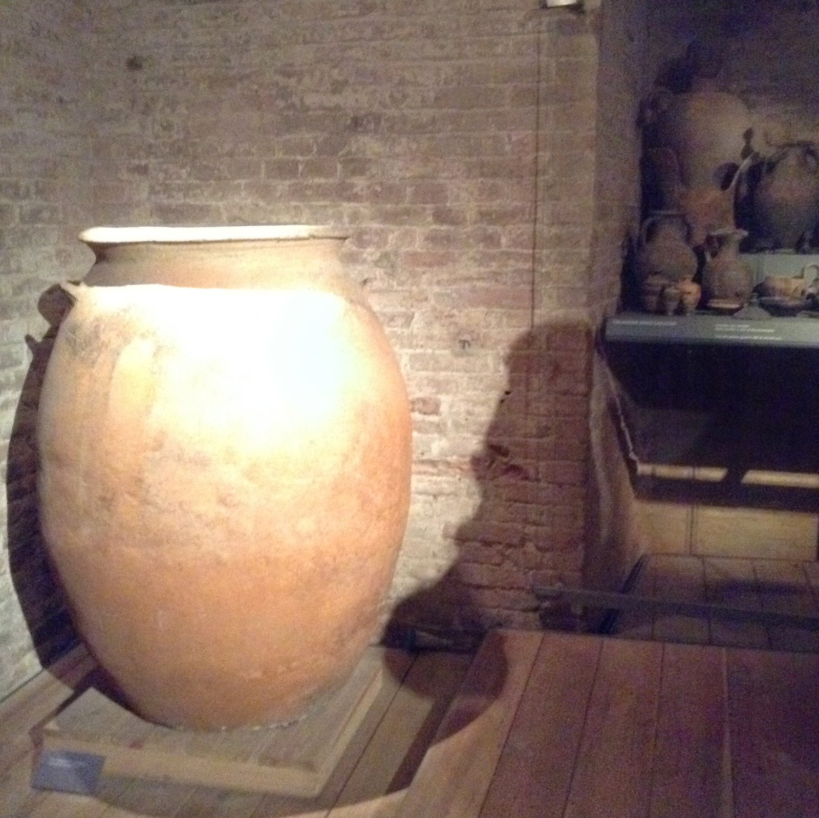 Museo Archeologico di Siena: tomba a ziro