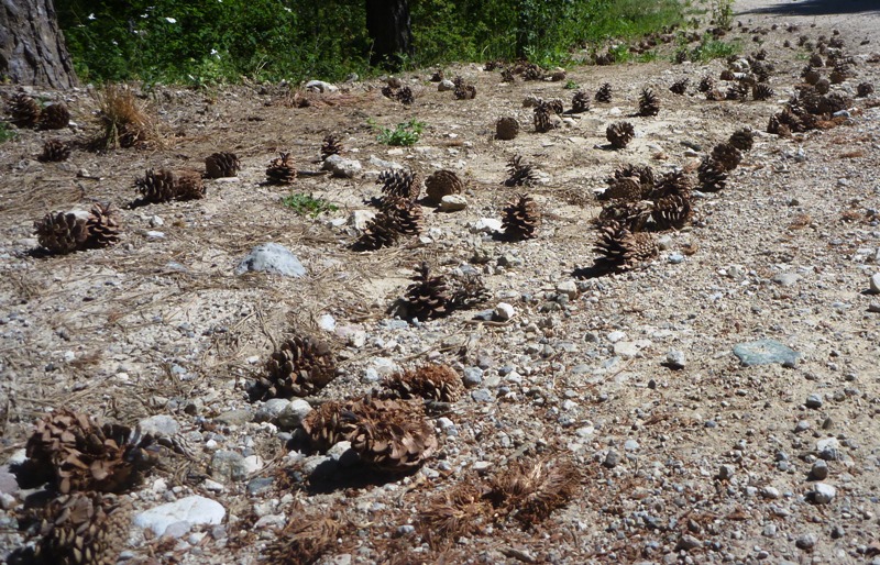 Went up a hill and came down Blind date with Torrecilla