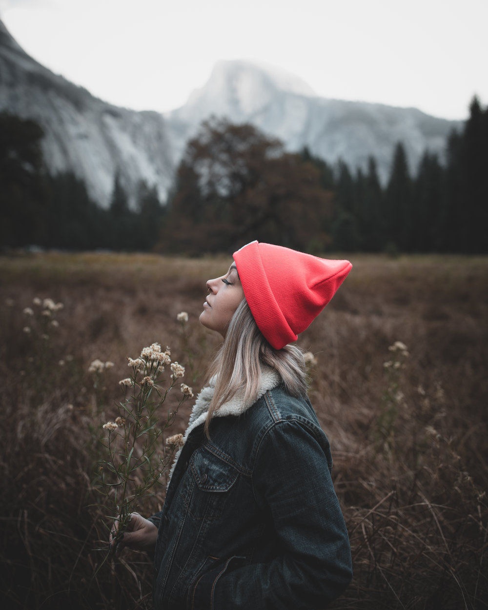 Ashley Inwanderland Photo - "Portrait" Lightroom Presets 2 IMG 0805