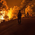 Φωτιές στο Θεολόγο: Προσαγωγή 14χρονου – Φέρεται να έχει σπείρει 13 πυρκαγιές τις τελευταίες 12 ημέρες