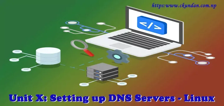 Setting Up DNS Servers - Linux