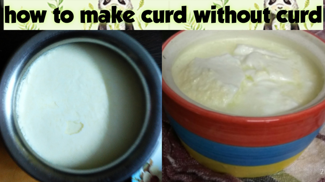 Making Dahi Without Starter बिना जामन के दही How to Make Curd at Home Without Curd