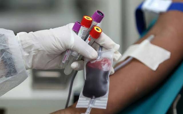 Hemoba fecha 2019 com crescimento de 15% no cadastro de medula óssea