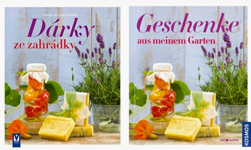 Soziale Netzwerke Chancen Und Risiken