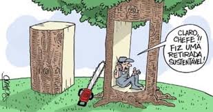 Você quer cortar uma árvore no seu quintal? Pode.