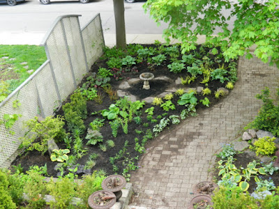 Summerhill New Front Garden Makeover After by Paul Jung Gardening Services--a Toronto Gardening Services Company Summerhill New Front Garden Makeover After by Paul Jung Gardening Services--a Toronto Gardening Services Company