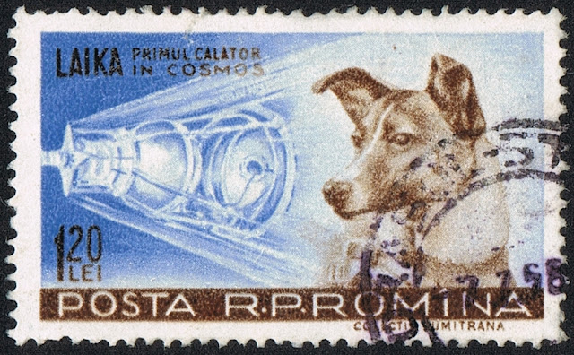 Roket Sputnik 2 yang membawa anjing Laika ke luar angkasa Sputnik 2, Roket, Anjing, Laika, Luar Angkasa, Rusia