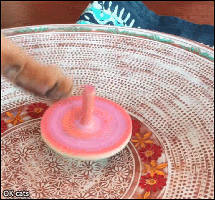 Amazing Cat GIF • Clever cat playing with his spinning top, like his human haha Amazing Cat GIF • Clever cat playing with his spinning top, like his human haha