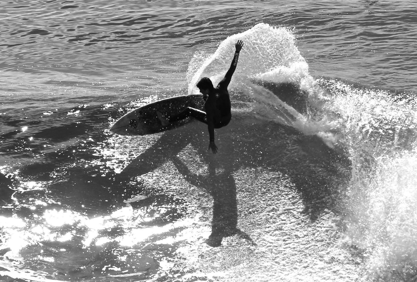 Forestdweller Steamer Lane