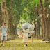 The leaves falling dracontomelum season on the streets of Hanoi