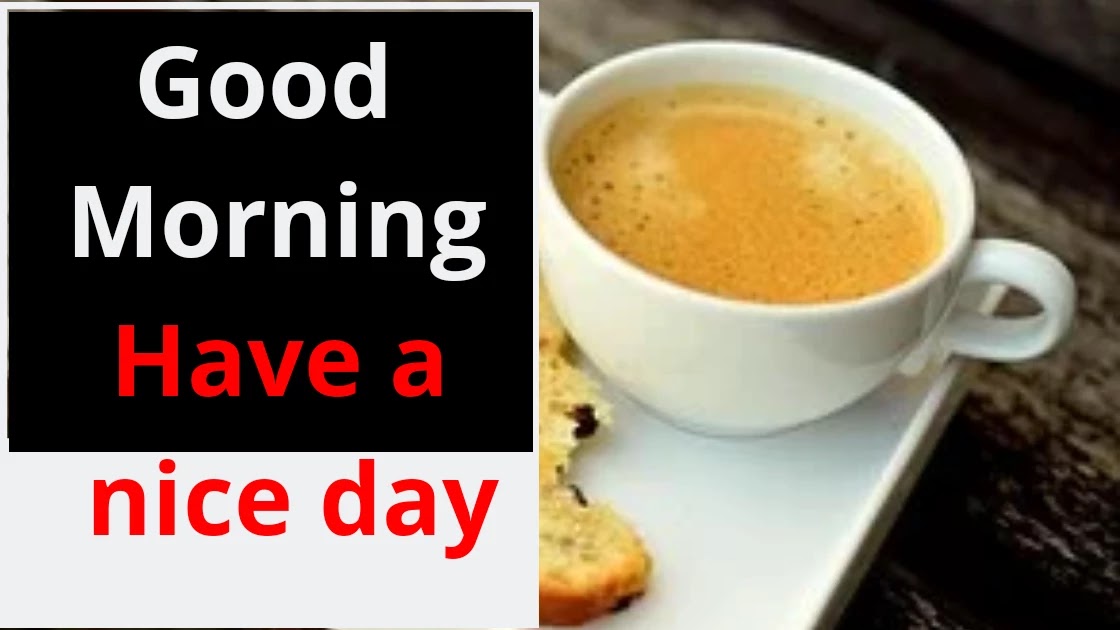 Best 500+ Good morning have a nice day photo, image, pic, quote in Hindi (2021) Best 500+ Good Morning Have A Nice Day Photo, Image, Pic, Quote In Hindi (2021)