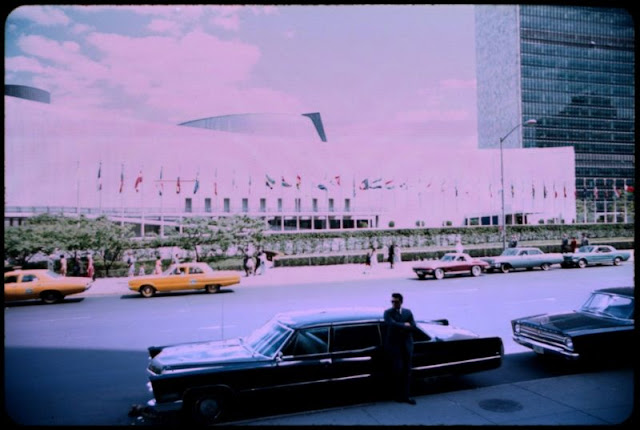 new york law journaly 1967 new york law journaly 1967