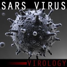 Microscopic view of SARS Severe Acute Respiratory Syndrome Virus
