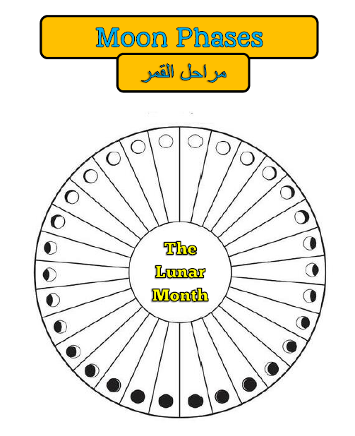 Islamic Lunar Calendar