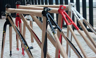 frame united soloist