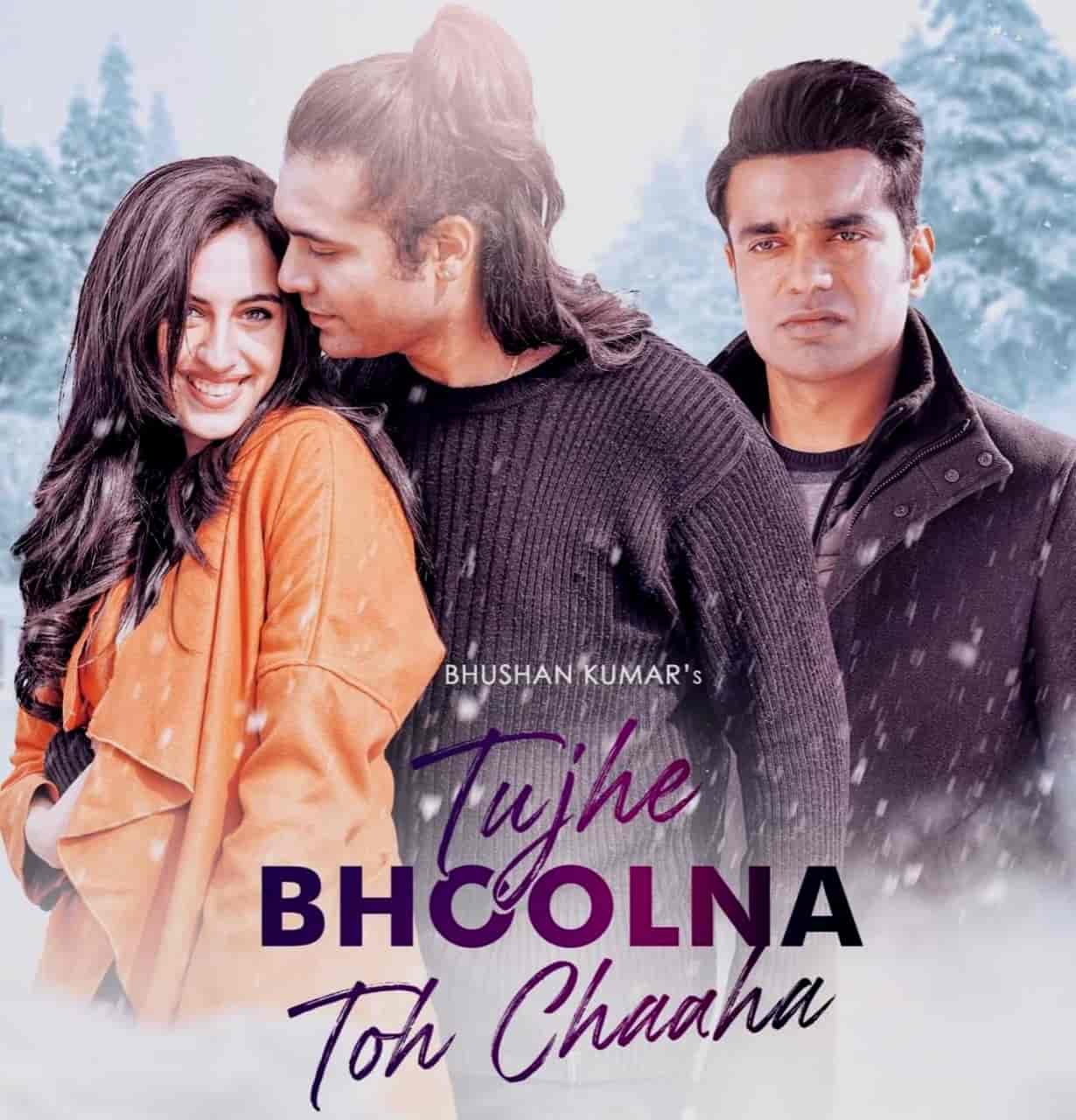 TUJHE BHOOLNA TOH CHAAHA LYRICS - Jubin Nautiyal | Tujhe Bhoolna Toh Chaaha Hindi Song Lyrics Jubin Nautiyal