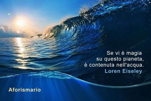 Aforismario Aforismi Frasi E Proverbi Sull Acqua