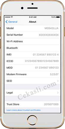 Mau Tahu Iphone Anda Asli Atau Palsu Begini Cara Cek Imei Iphone Semua Tipe Suara