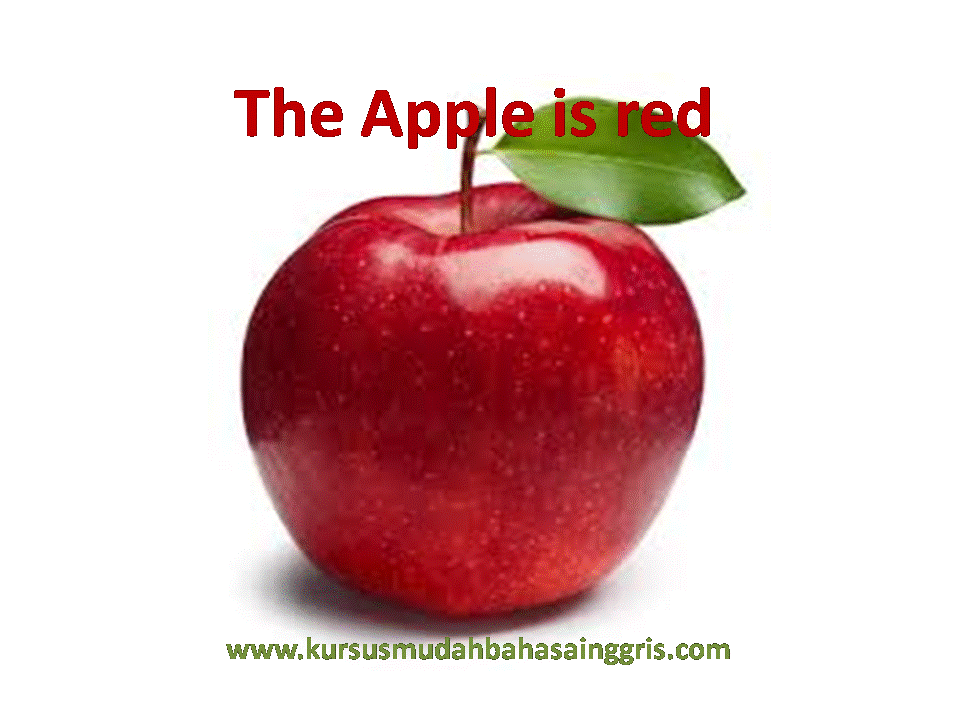 Macam Macam Warna Colors Materi Bahasa Inggris Sd Kelas 5 Belajar Bahasa Inggris Online Gratis