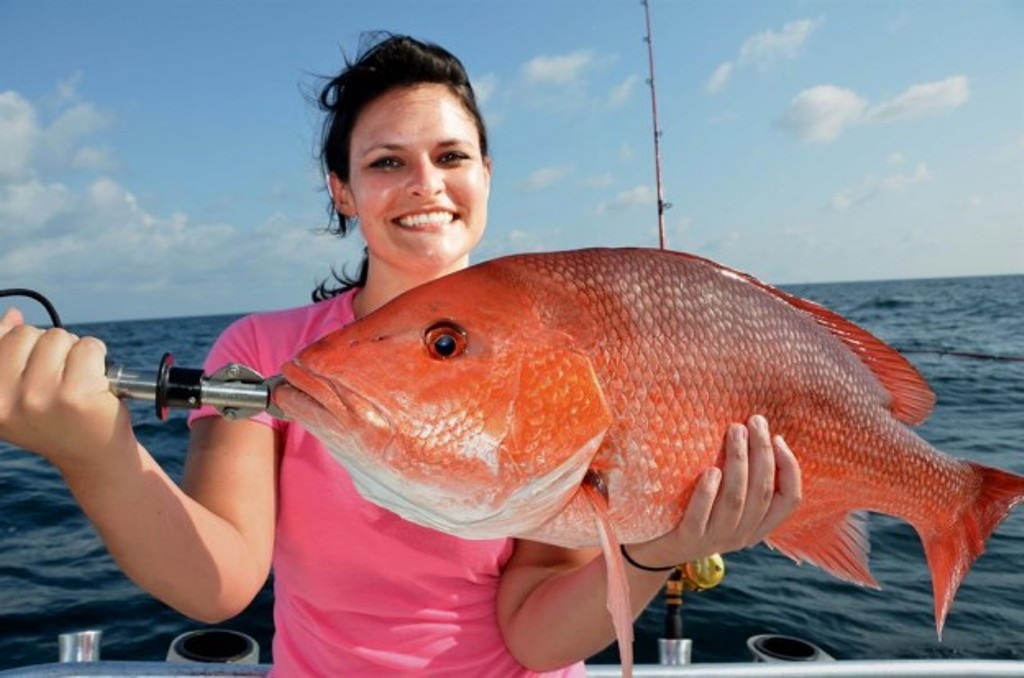 types of snapper types of snapper