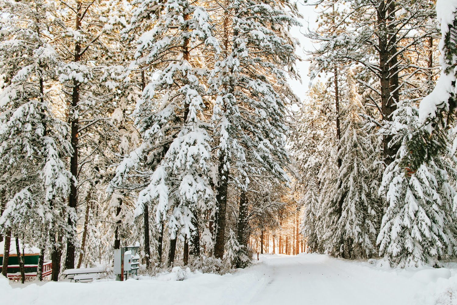 simply brooke Yurting WINCHESTER, ID