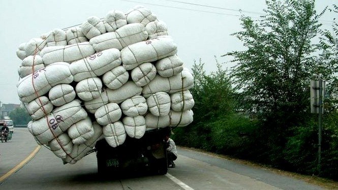 The Flying Tortoise: Overloaded Vehicles? Perhaps. Just A Little