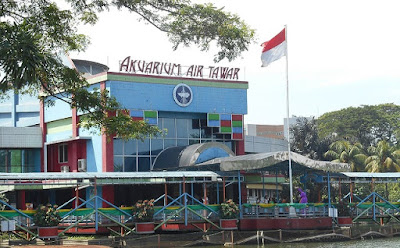 Aquarium Air Tawar TMII Aquarium Air Tawar TMII