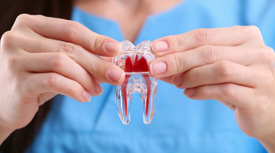 Root Canal Treatments from Our Highly Skilled Endodontists.