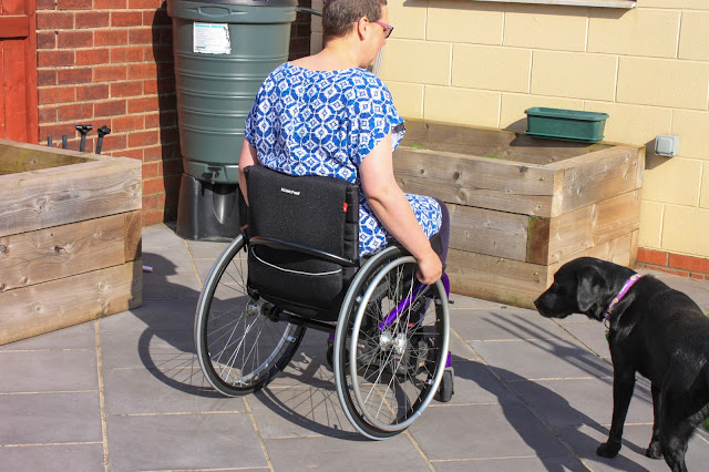 The back of my wheelchair, showing the lower back.