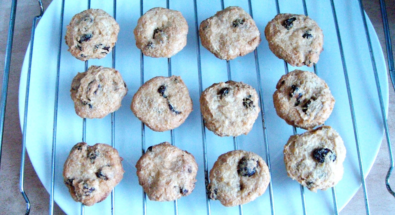Josephine's Recipes Soy Okara cookies Soft and Chewy Josephine's