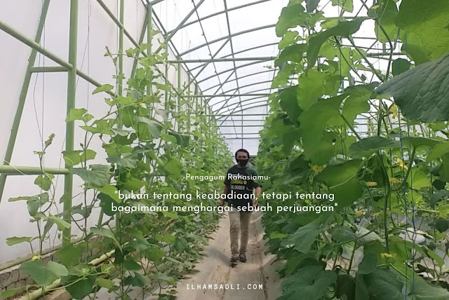 TeFa Smart Green House Polije