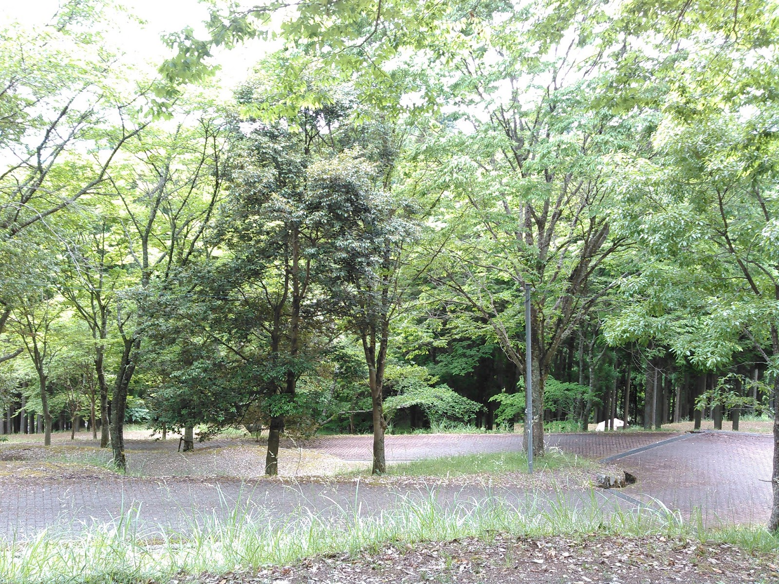 like a jetsetter 穴場のキャンプ場 兵庫県宍粟市 一宮ウッディパークキャンプ場 2年目 21泊目