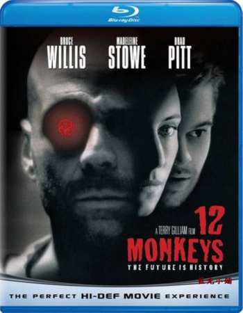 Twelve Monkeys 1995 Hindi Dual Audio 720p BluRay 1GB