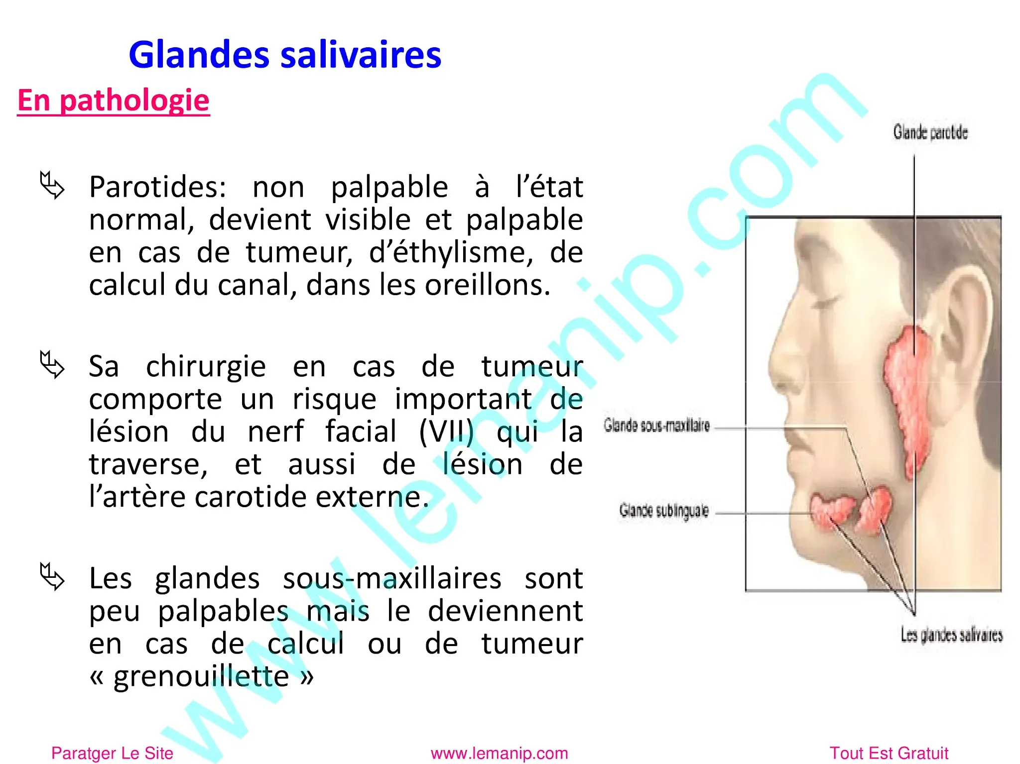 Pathologie Des Glandes salivaires
