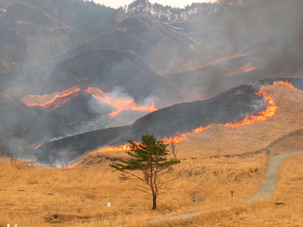 Four Seasons in Japan mountainburning events and Omiwatari