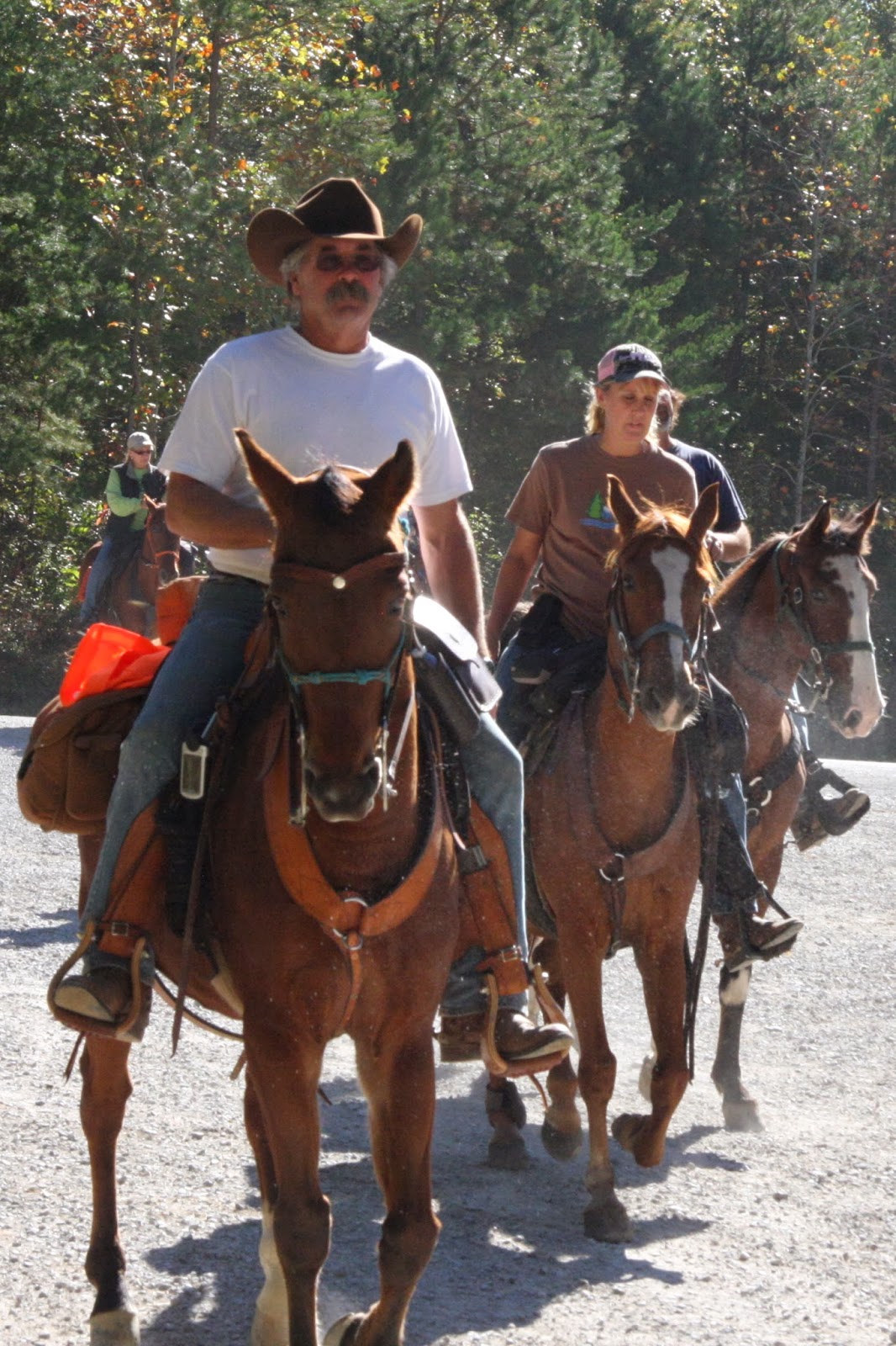 Foxtrotting Trail Riders Of Tennessee