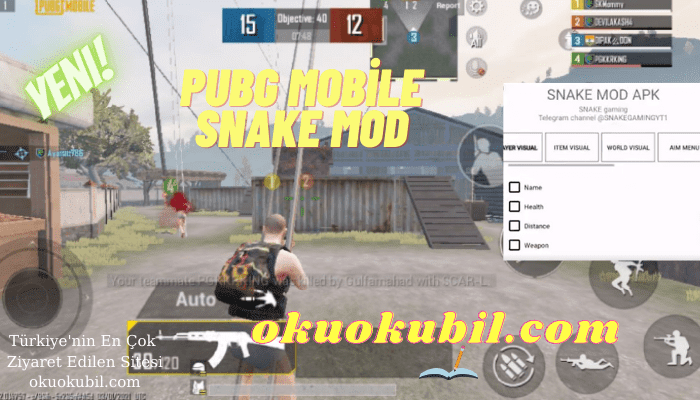 Pubg Mobile Snake Mod 1.0 Esp + Aimbot GL + KR Hileli İndir