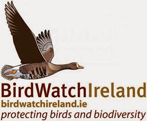 BirdWatch Ireland