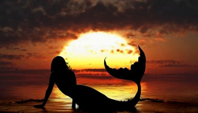 Astrology, Pisces Sign, Horoscope Today